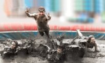 Boryeong Mud Festival 2025: M Countdown Ignites Korea’s Summer Icon, Soaked in Culture and Wellness