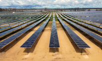 Treasury Department Guidance Restricting Green Credits Struck Down by Judge