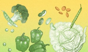 The Problem With Antinutrients—and How to Reduce Their Negative Effects