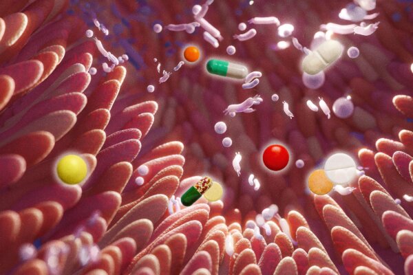 1 in 4 Nonantibiotic Drugs Linked to Disrupted Gut Health