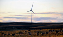 Climate Agency Concedes It Did Not Scrutinise Data Behind Major Climate Risk Report