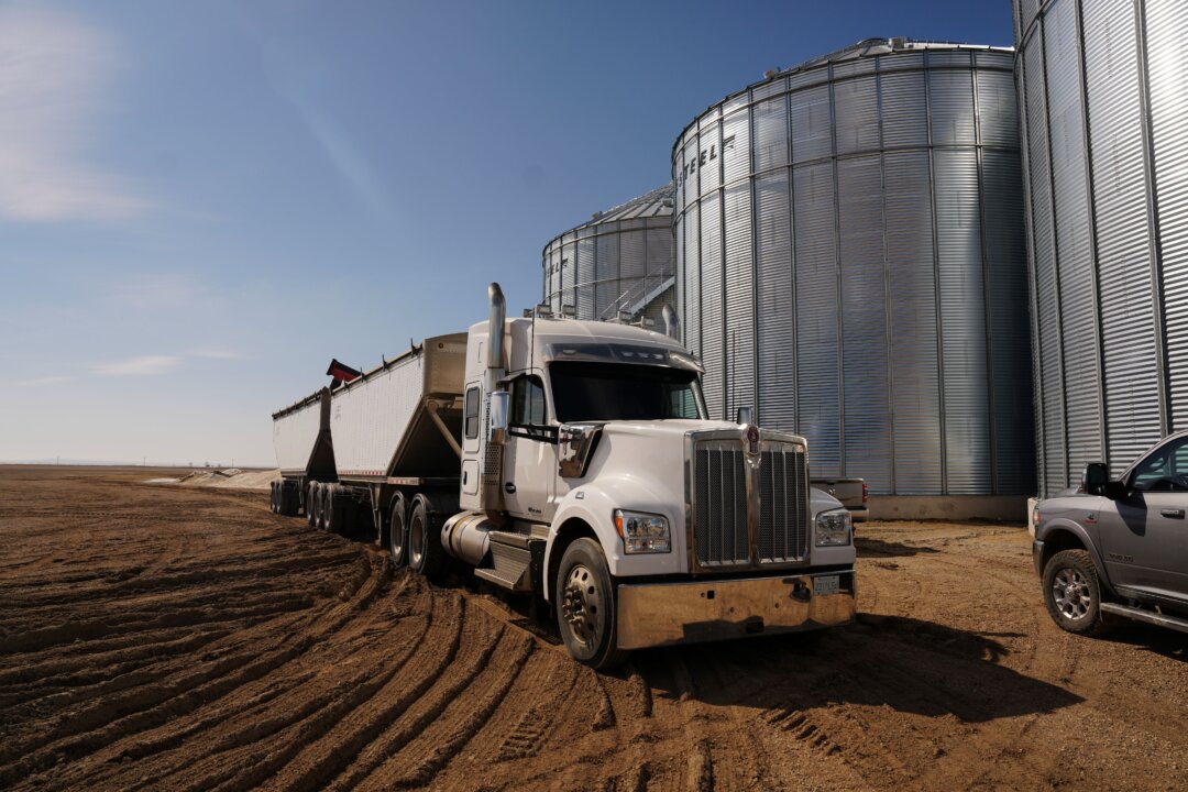 China Drops Some Agricultural Tariffs on Canada, but Not on Canola Seeds