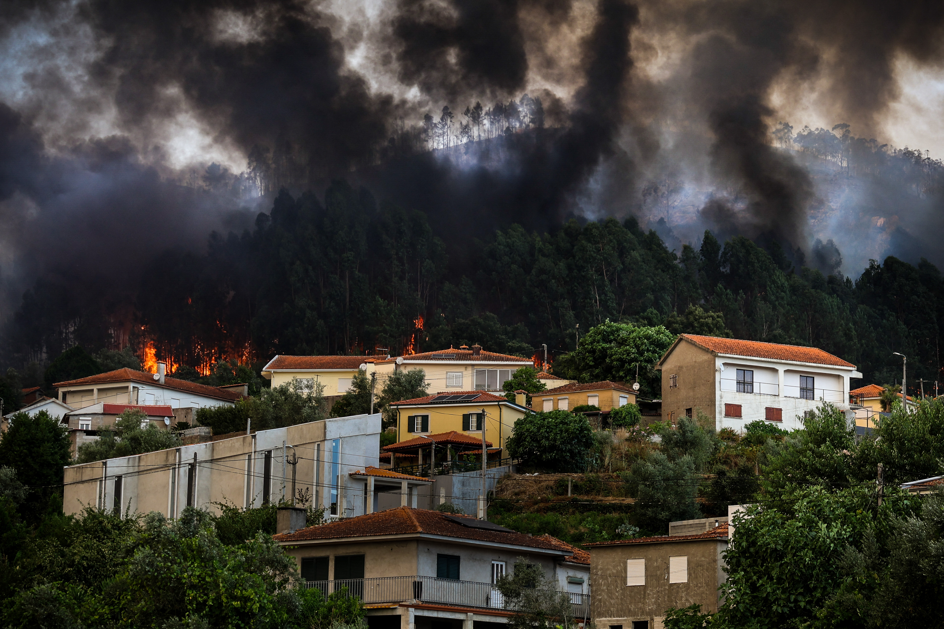 Day in Photos: Wildfire in Portugal, Protest in Peru, Cease-Fire in Thailand
