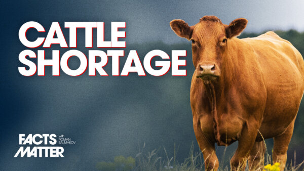 ‘Big 4’ Consolidate 80 Percent of Beef Supply; Steak Prices Soaring | Facts Matter