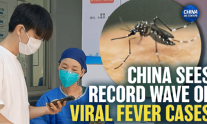 Potentially Deadly New Virus Outbreak in China Spread by Mosquitoes