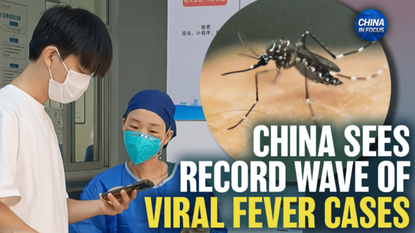 Potentially Deadly New Virus Outbreak in China Spread by Mosquitoes