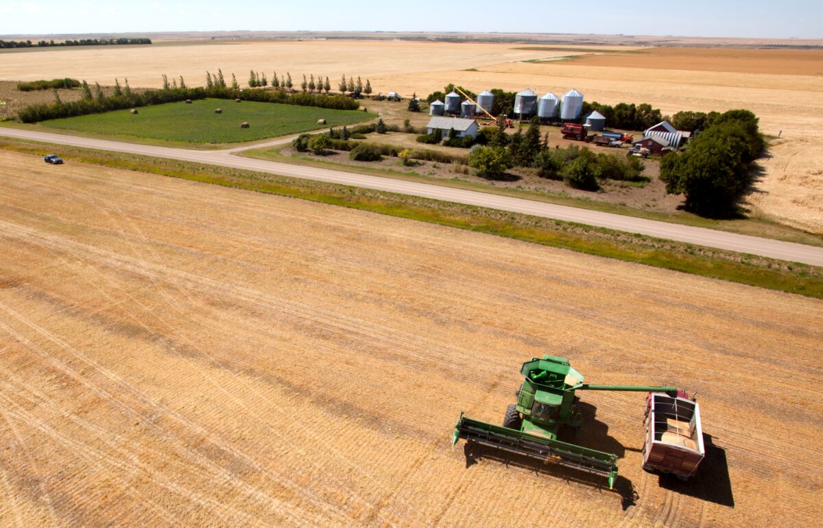 Experts say China exploits regional economies, such as in the agricultural sector, to advance its interests by sowing divisions and creating political pressure. (Tyler Olson/Shutterstock)