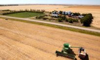 From Wheat to Leverage: How the CCP Exploits Canada’s Regional Fault Lines