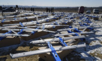 Pentagon Pauses Some Arms Shipments to Ukraine