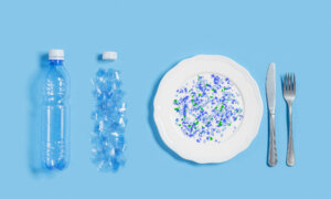 Battling Microplastics in the Kitchen