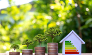 Are Energy-Efficient Home Upgrades Worth It?
