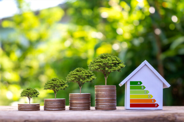 Are Energy-Efficient Home Upgrades Worth It?
