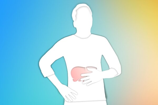 The Liver’s Vital Role: The Powerhouse of Metabolic Health