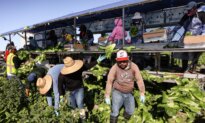 Trump Says Some Deported Farm Workers Allowed to Return Legally