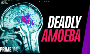12-Year-Old Boy Dies After Contracting Brain-Eating Amoebas in SC Lake: What to Watch Out For | NTD Primetime