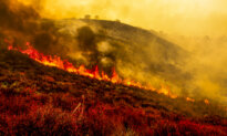 3 Injured in California Forest Fire as It Reaches 83,900 Acres