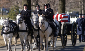 A Brief History of Horses in the American Military