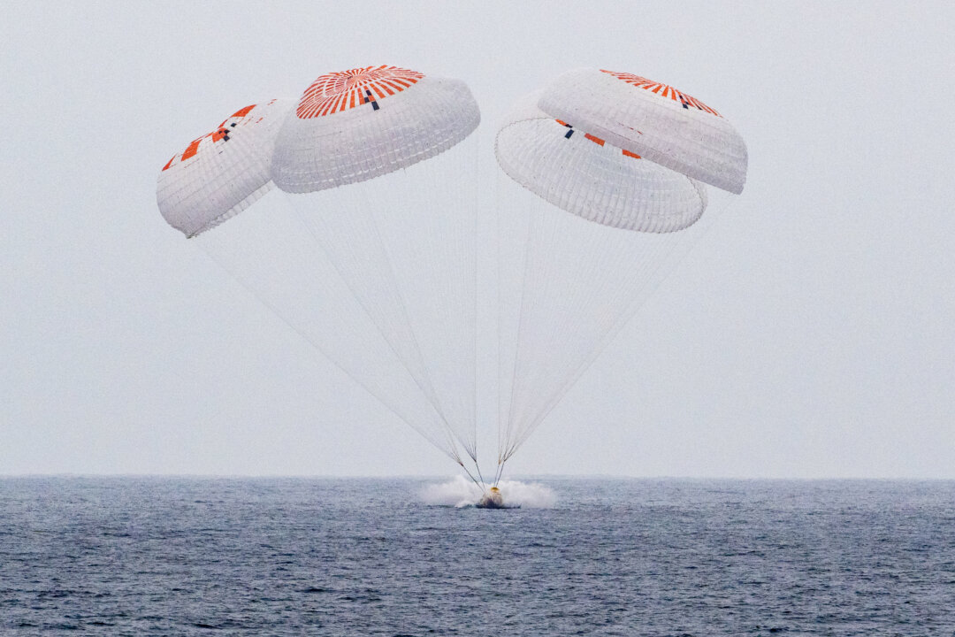NextImg:Day in Photos: NASA Astronauts Return to Earth, Protests in Ivory Coast, and Oldest Oak Tree in France