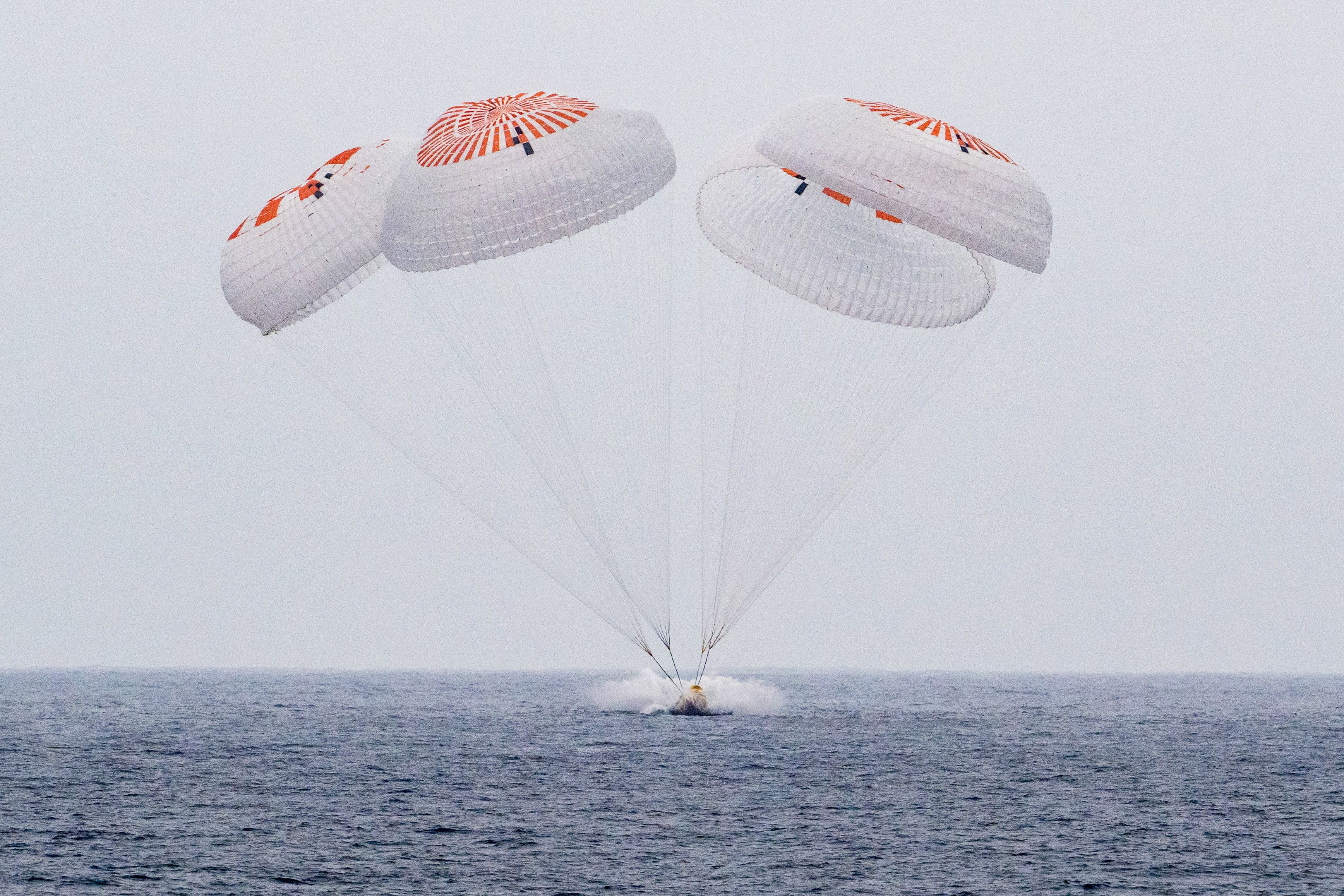 Day in Photos: NASA Astronauts Return to Earth, Protests in Ivory Coast, and Oldest Oak Tree in France