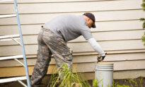 Paint Exterior Wood Siding