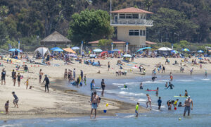 Have a Library Card? You Can Visit a Fabulous Calif. State Park for Free