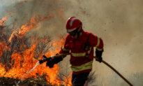 Day in Photos: Wildfire in Portugal, Attack on Refugee Camp, and Traditional Sailing Boats