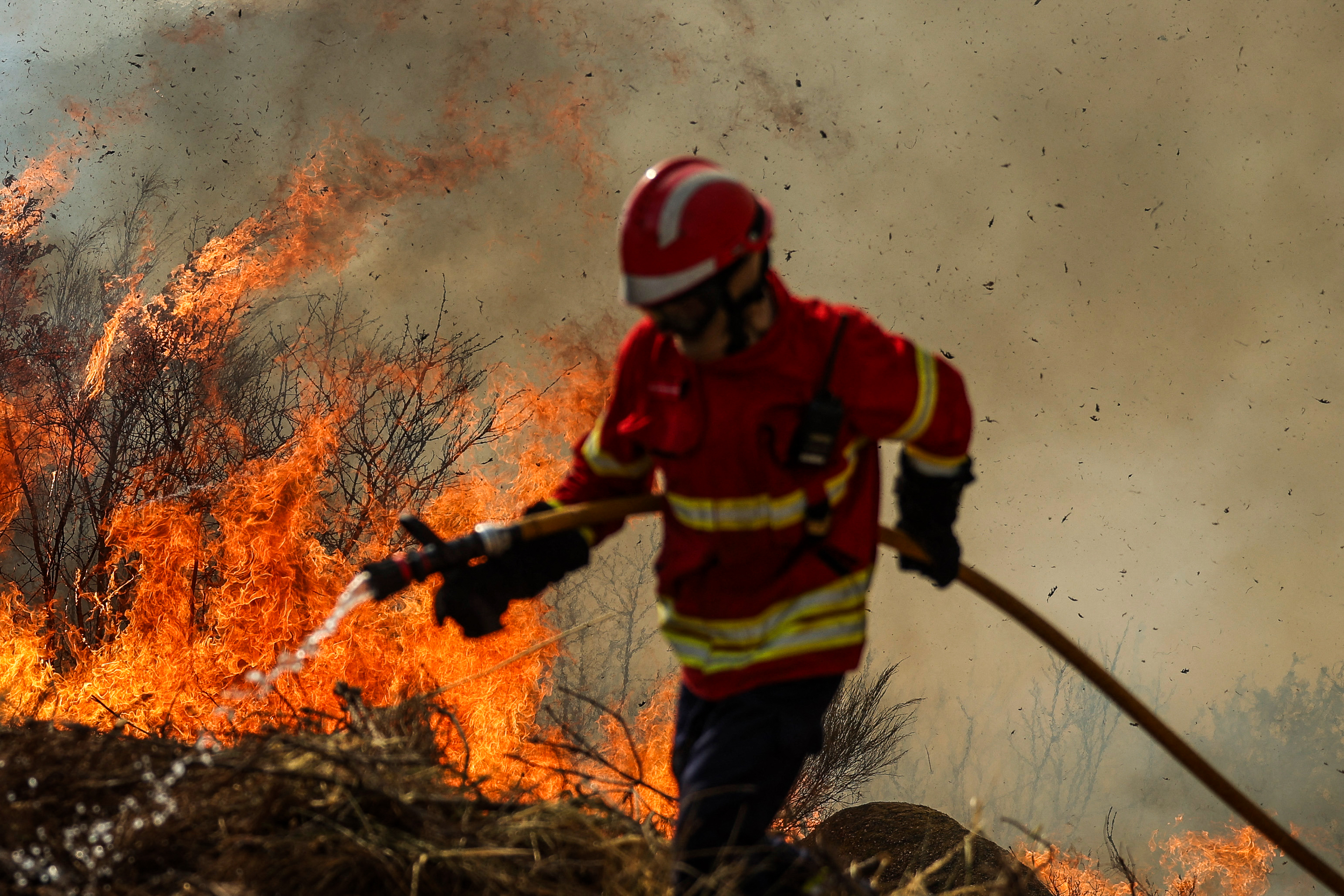 Day in Photos: Wildfire in Portugal, Attack on Refugee Camp, and Traditional Sailing Boats