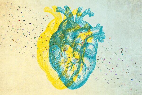 Microplastics Linked to Heart Disease—How to Reduce Risk