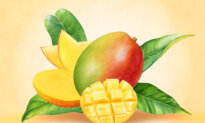 Mangoes Benefit Gut and Brain—Here’s How to Optimize Absorption
