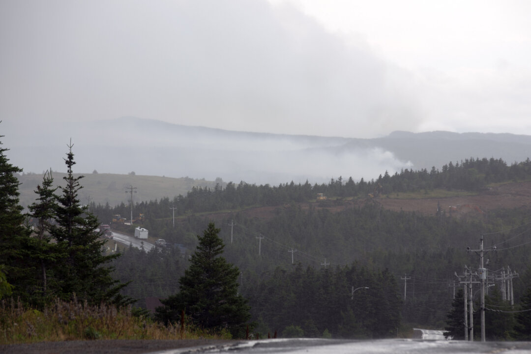 New Brunswick Reports 39 Active Wildfires as Blazes Continue in Atlantic Canada