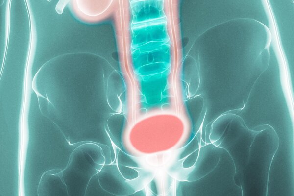 Spinal Cord Activity Linked With Urination
