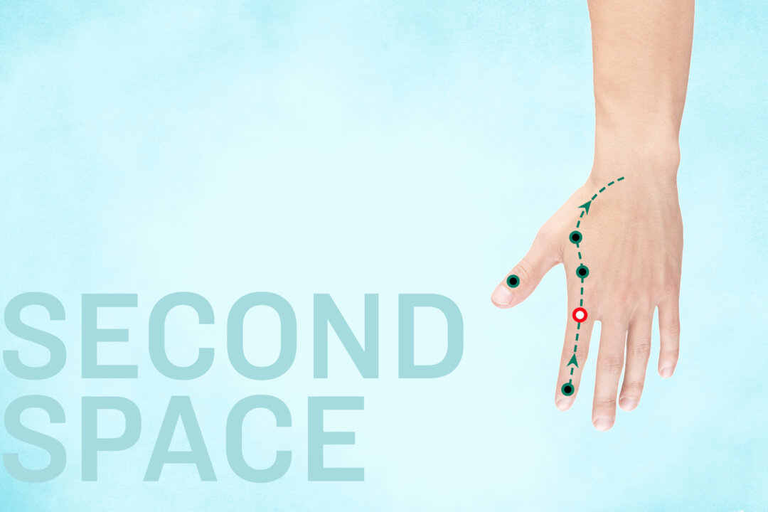 Meet the Clean-Up Crew of Your Large Intestine