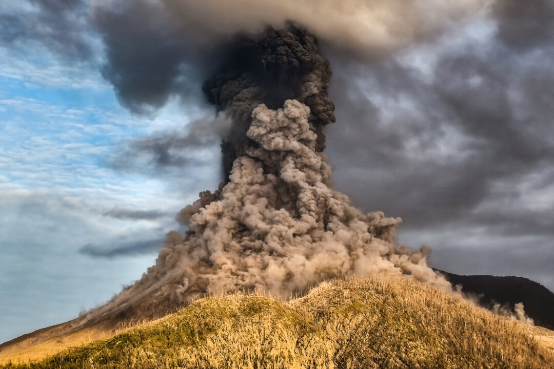 NextImg:Day in Photos: Volcanic Eruption in Indonesia, Trump Meets Zelenskyy, and Pygmy Hippo
