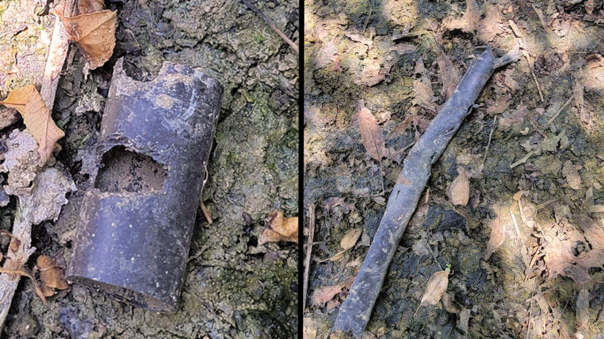 Irrigation line damage from rats. (Image courtesy of the Almond Board of California)