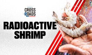 FDA Warns of Radioactive Shrimp; Trump Admin’s ‘Fit Not Fat’ Challenge Unveiled