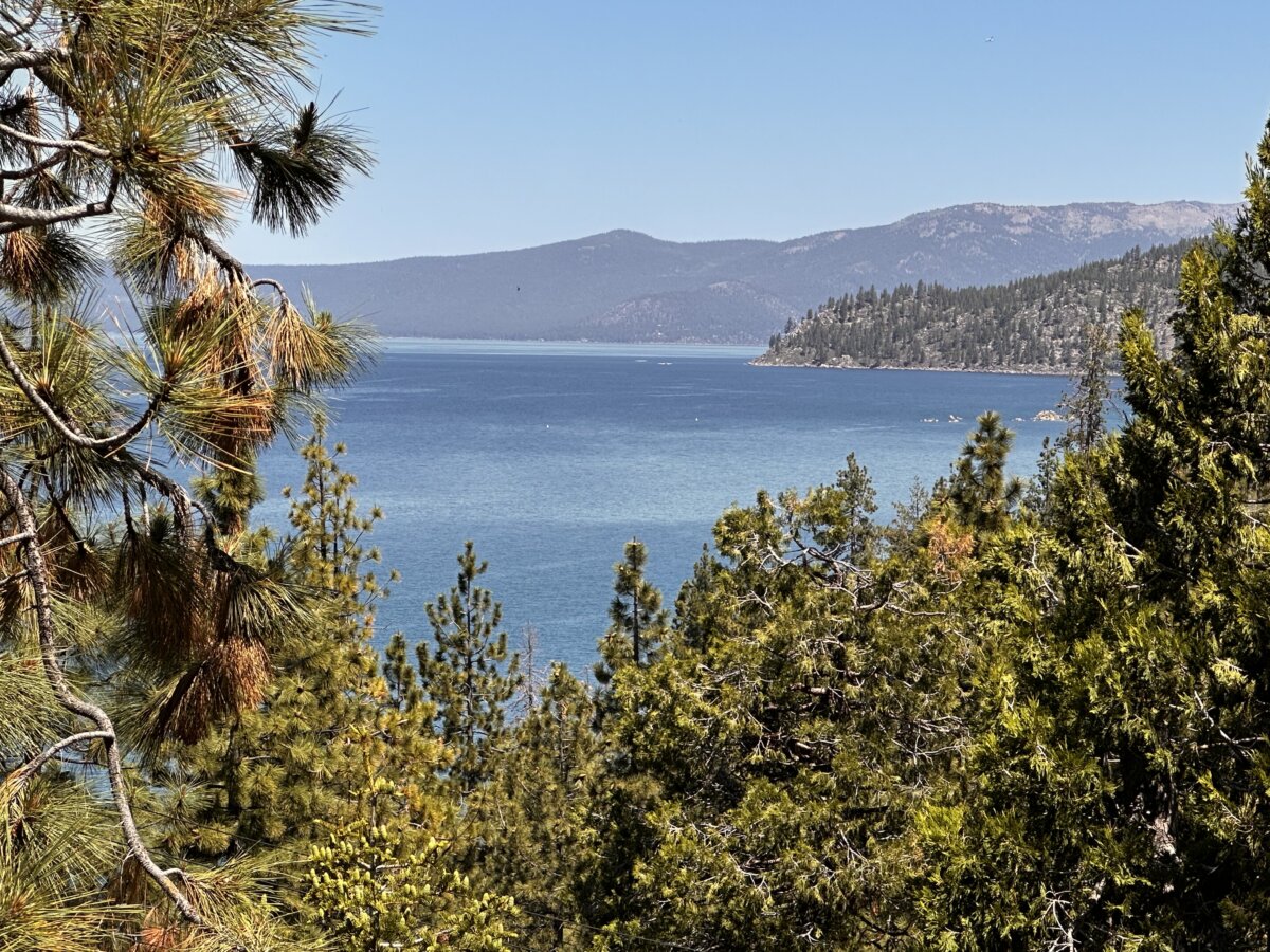A South Lake Tahoe resident contracted the plague after camping in the area, health officials said on Aug. 19, 2025. (Jill McLaughlin/The Epoch Times)