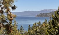 California Resident Infected With Plague After Camping in Lake Tahoe