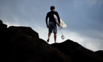 Surfer Survives Close Call With Great White Shark in Australia