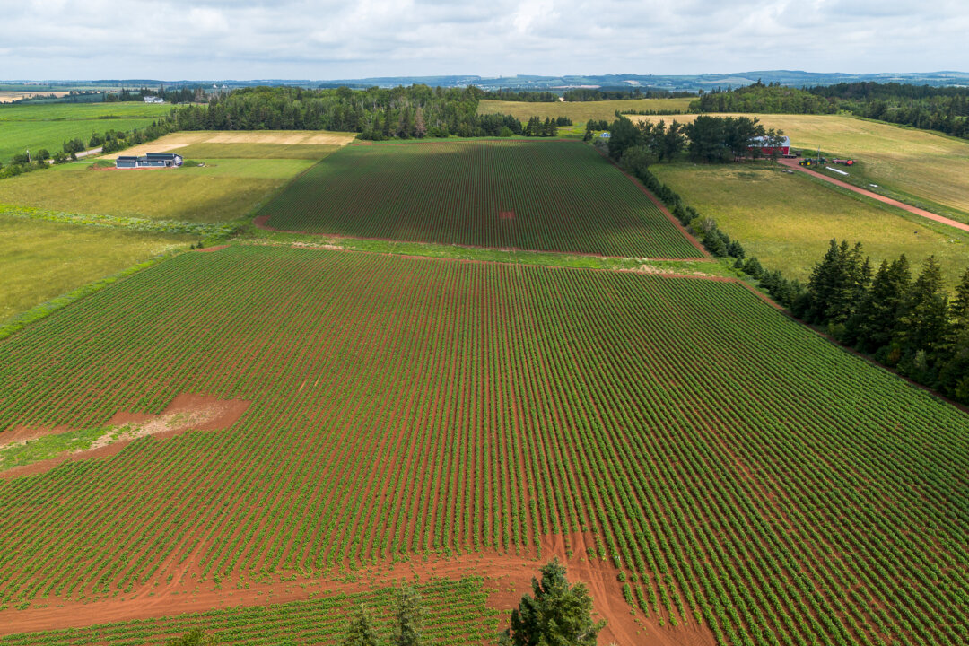 Canada’s Foreign Buyer Ban Should Include Our Precious Farmland