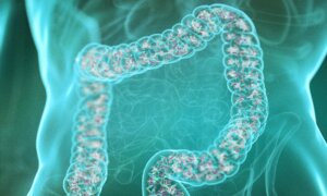 Presidential Advisory Council Holds Public Meeting on Antimicrobial Resistance and the Microbiome (Day 1)