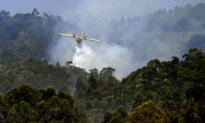 Day in Photos: Fire in Spain, Belgian Diplomatic Mission to Africa, and Big Movies Pumpkin Exhibition