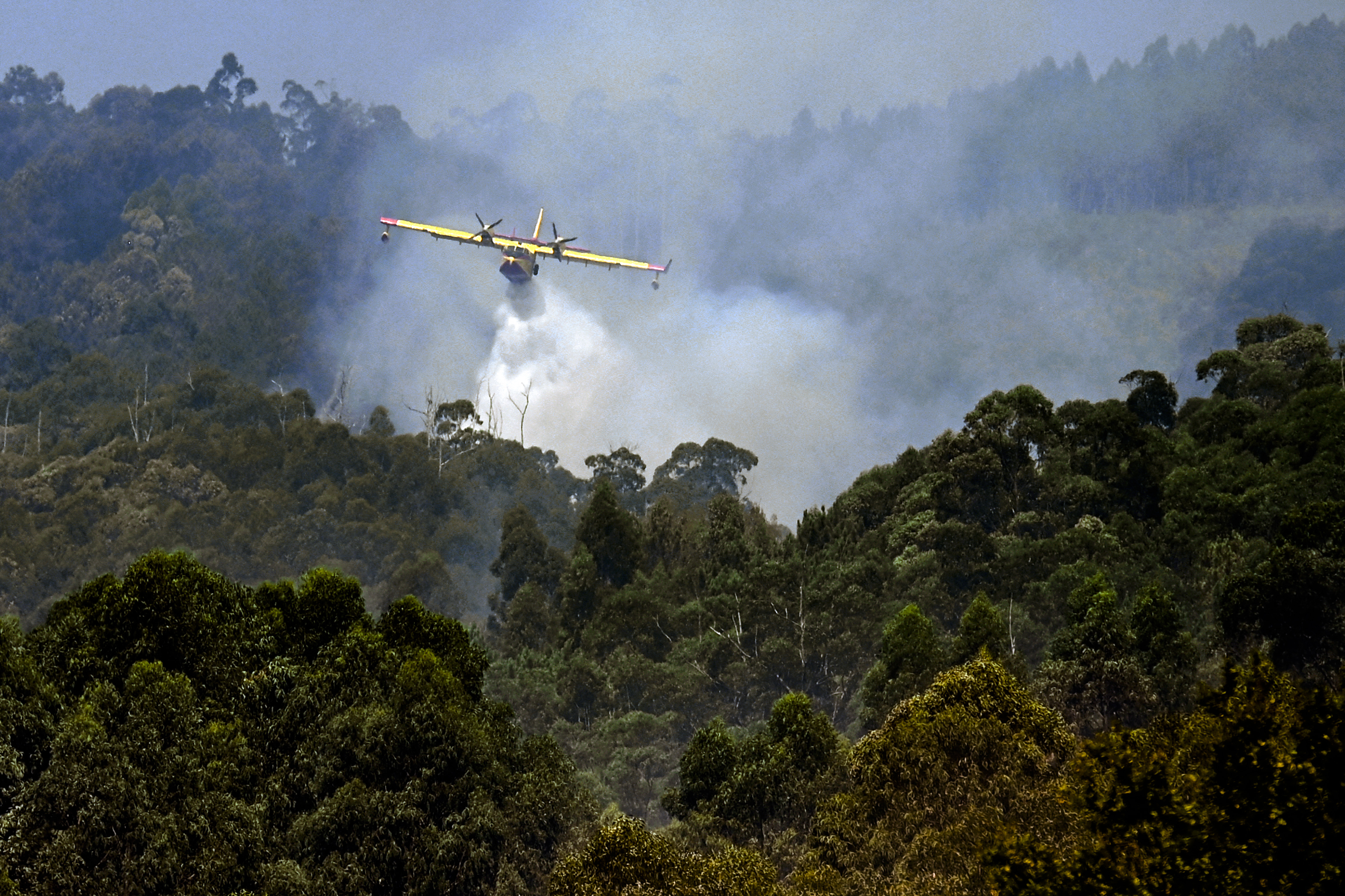 Day in Photos: Fire in Spain, Belgian Diplomatic Mission to Africa, and Big Movies Pumpkin Exhibition