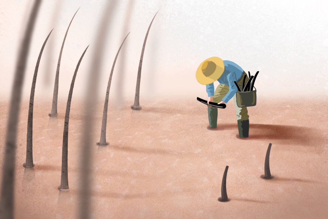 (Illustration by The Epoch Times, Shutterstock)