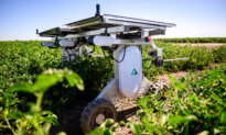 Why More Farmers Are Turning to AI Machines