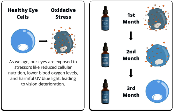 LuminEye the Ultimate Solution for Age-Related Eye Problems