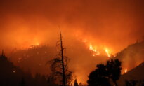 Firefighters Gain Ground on Blaze in California’s Wine Country