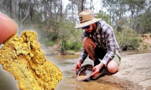 Aussie Gold Panner Plucks Sizeable Nuggets From Victoria Rivers—Now He Teaches Hopeful Prospectors