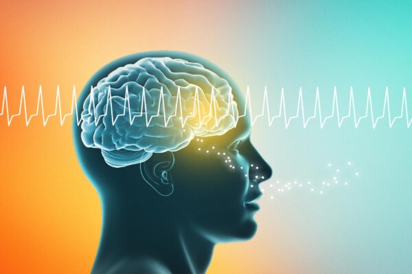 Sense of Smell Can Be Enhanced With Radio Wave Brain Stimulation