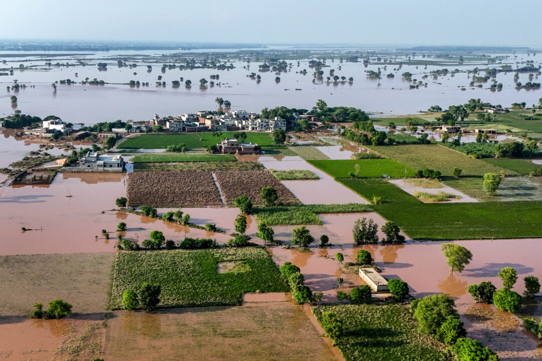 NextImg:Day in Photos: Flooding in Pakistan, Protests in Indonesia, and Falconry Exhibition