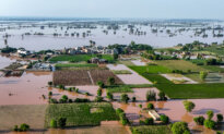 Day in Photos: Flooding in Pakistan, Protests in Indonesia, and Falconry Exhibition